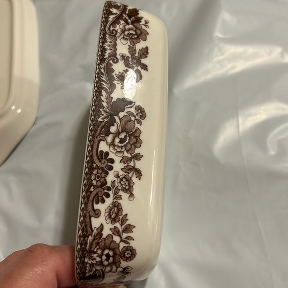 Spode Woodland - Picture 11 of 11
